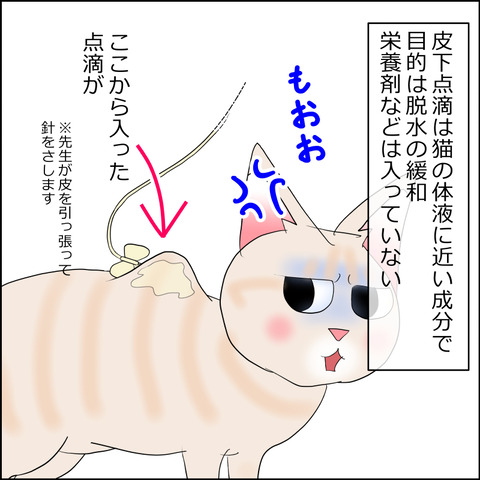 あんこ&麦kenko124a