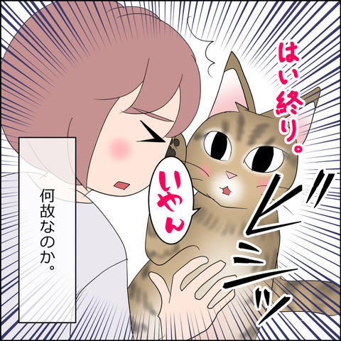 あんこ＆麦STORY2343f