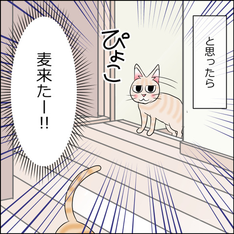 あんこ＆麦STORY2135f