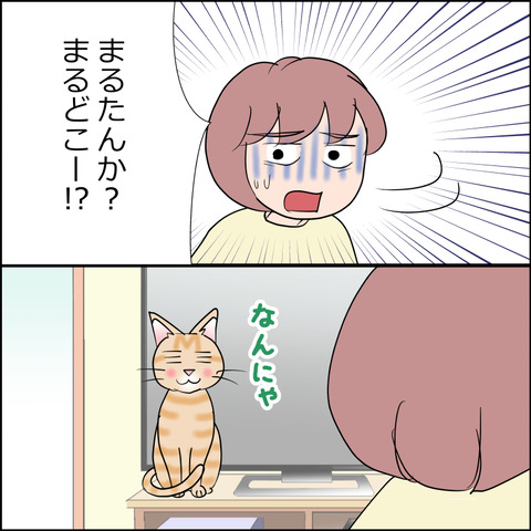あんこ＆麦STORY2413c