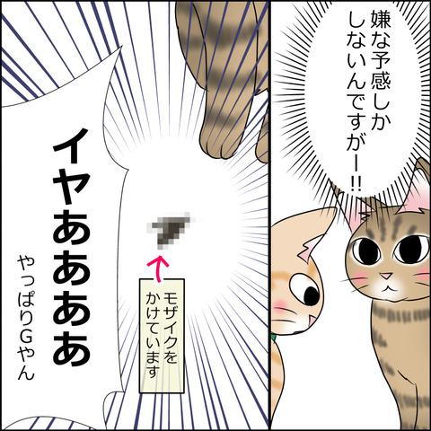 あんこ＆麦STORY1969c