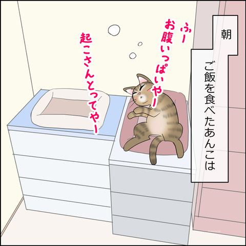 あんこ＆麦STORY2343a