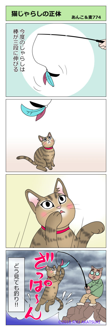 あんこ&麦STORY774