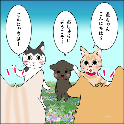 mugitabix004d