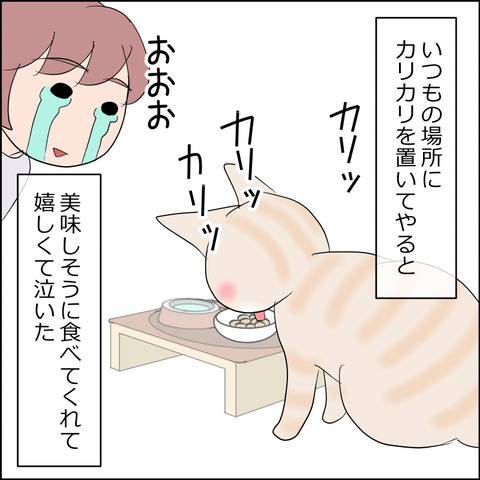 あんこ＆麦kenko121f