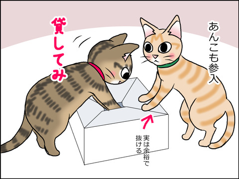 あんこ＆麦STORY1558b