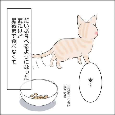 あんこ&麦STORY2148a