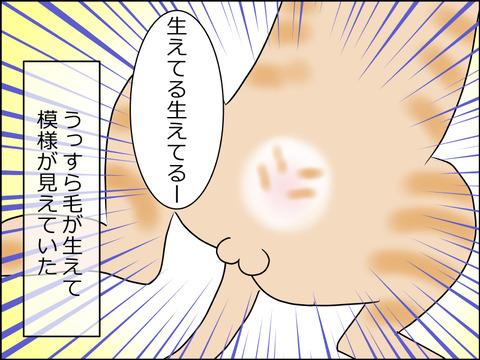 あんこ&麦kenko39c