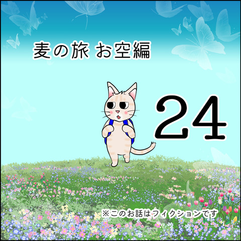 mugitabix024@