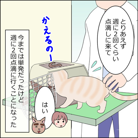 あんこ&麦kenko123d