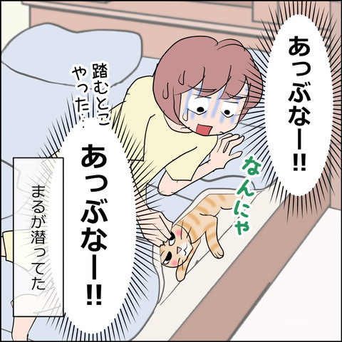あんこ＆麦STORY2487d