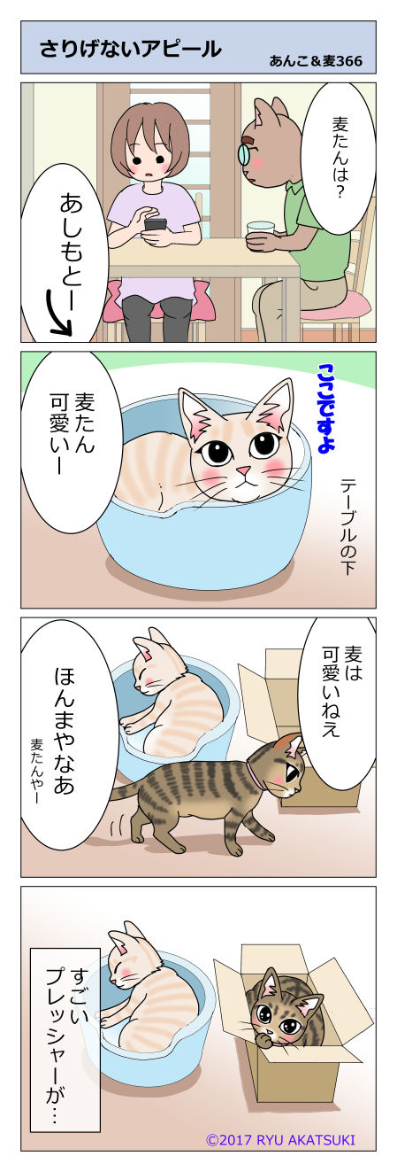 あんこ&麦STORY366