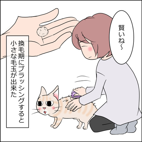 あんこ＆麦STORY2433a