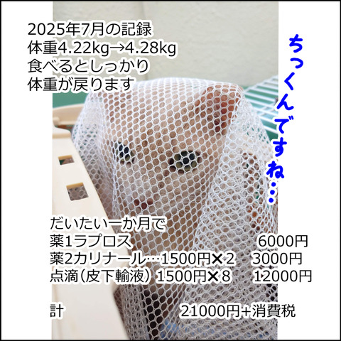 あんこ＆麦kenko130e