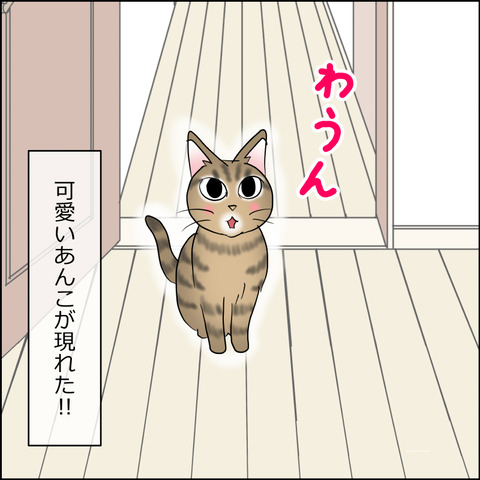 あんこ&麦STORY2446a