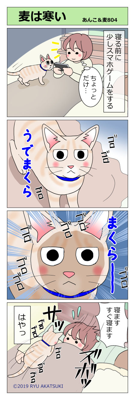あんこ&麦STORY804