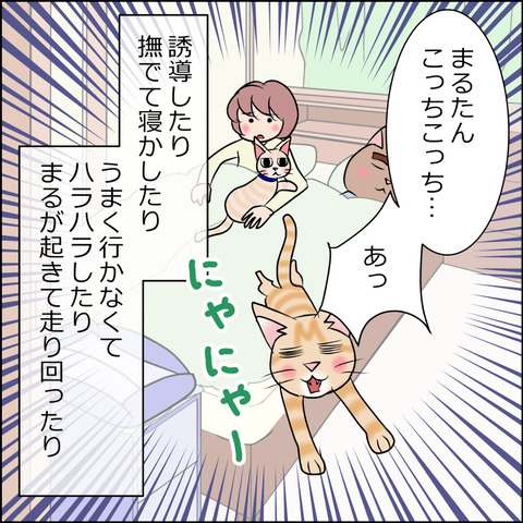 あんこ＆麦STORY1695e