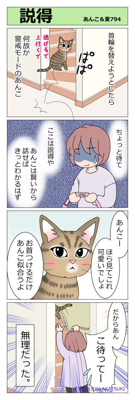 あんこ&麦STORY794