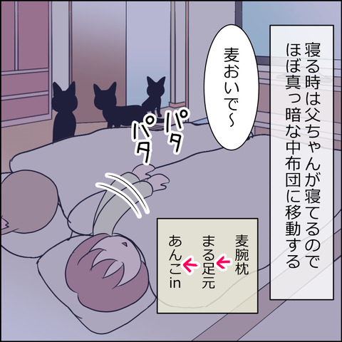あんこ＆麦STORY1771a