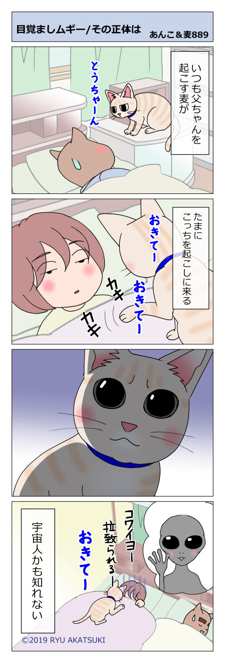 あんこ&麦STORY889