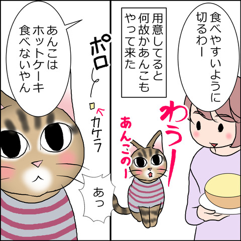 あんこ＆麦STORY1730b