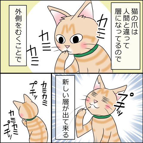 あんこ＆麦STORY1875c