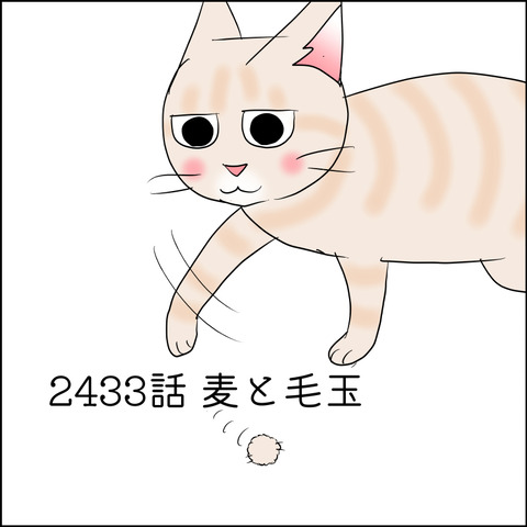 あんこ＆麦STORY2433@