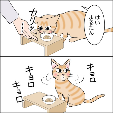あんこ＆麦STORY2436c