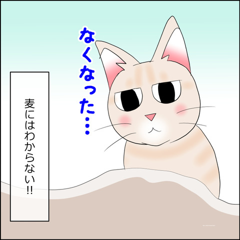 あんこ&麦STORY2292d