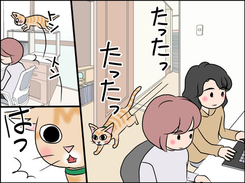 あんこ＆麦STORY1583b