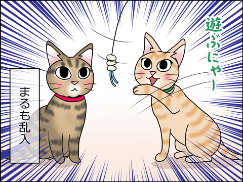 あんこ&麦STORY1472c
