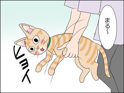 あんこ&麦STORY1433a
