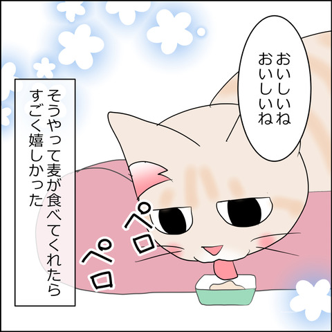 mugitabi012d