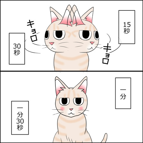 あんこ＆麦STORY2139e