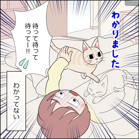 あんこ＆麦STORY2260d