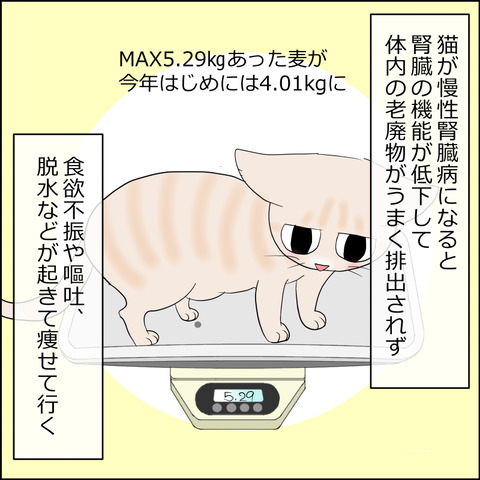 あんこ＆麦kenko125a