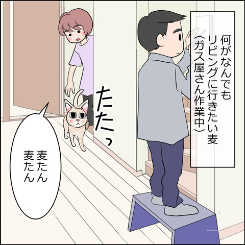 あんこ＆麦STORY2114a