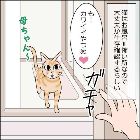 あんこ＆麦STORY2401b