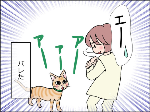 あんこ&麦STORY1511d