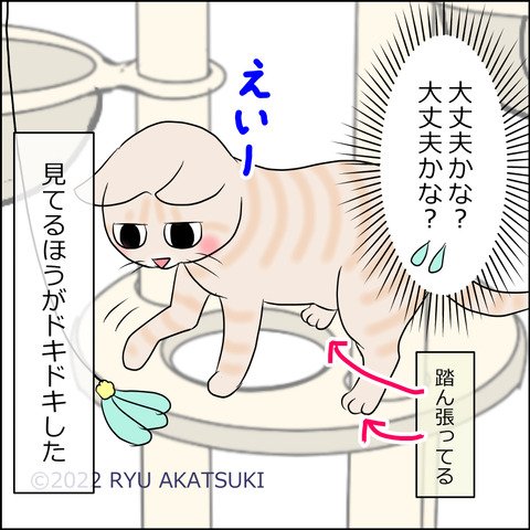 あんこ&麦STORY1761d