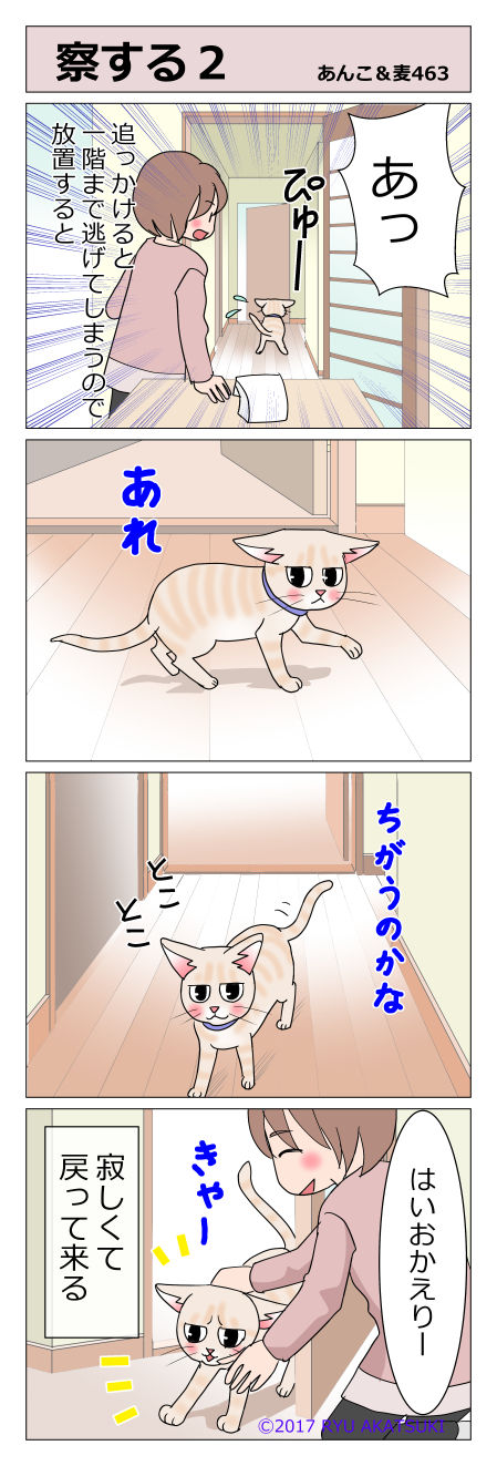 あんこ&麦STORY463