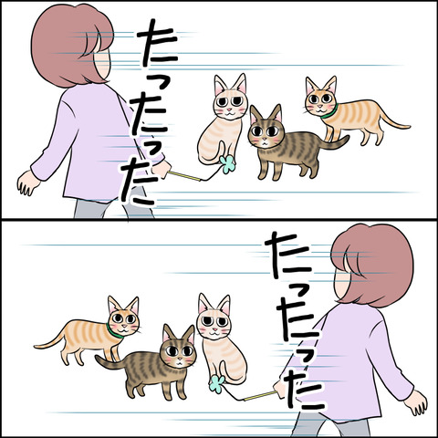 あんこ＆麦STORY1754c