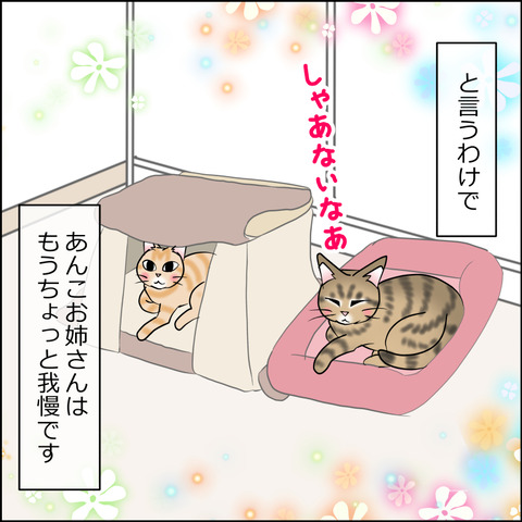 あんこ&麦STORY2420d