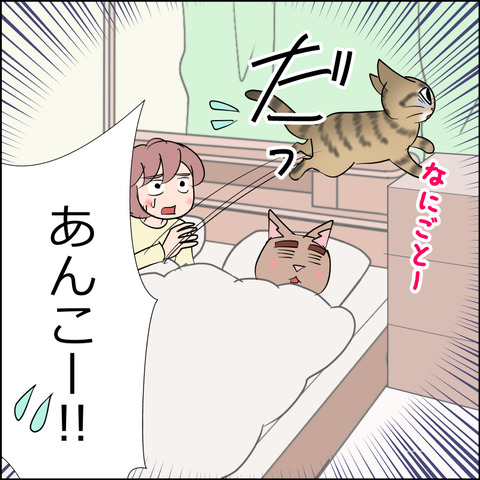 あんこ&麦STORY2438d