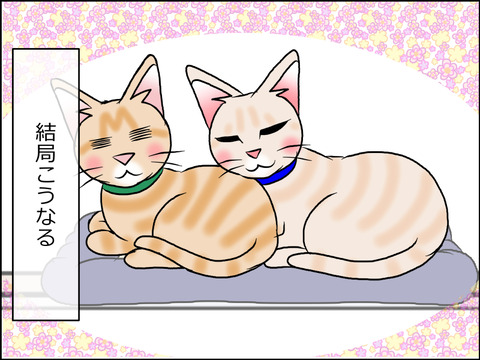 あんこ&麦STORY1565d