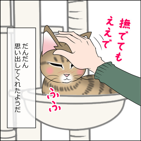 あんこ＆麦STORY2026c