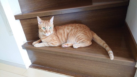 20240725_130551_Original