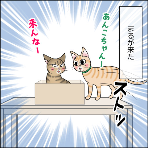 あんこ＆麦STORY1941c