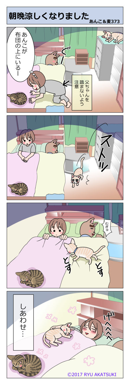 あんこ&麦STORY373