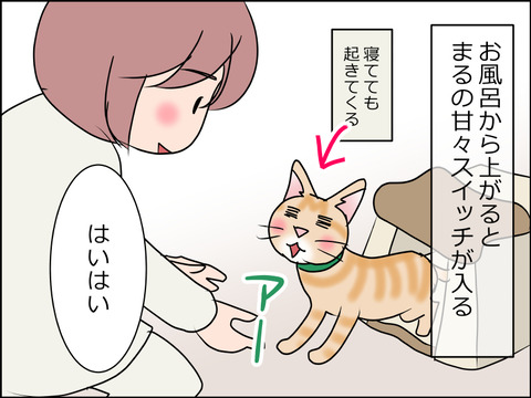 あんこ&麦STORY1478a